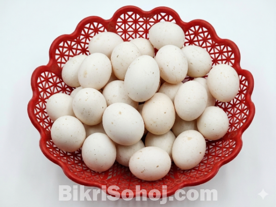 মিশরী ফাওমি মুরগির বীজ ডিম
